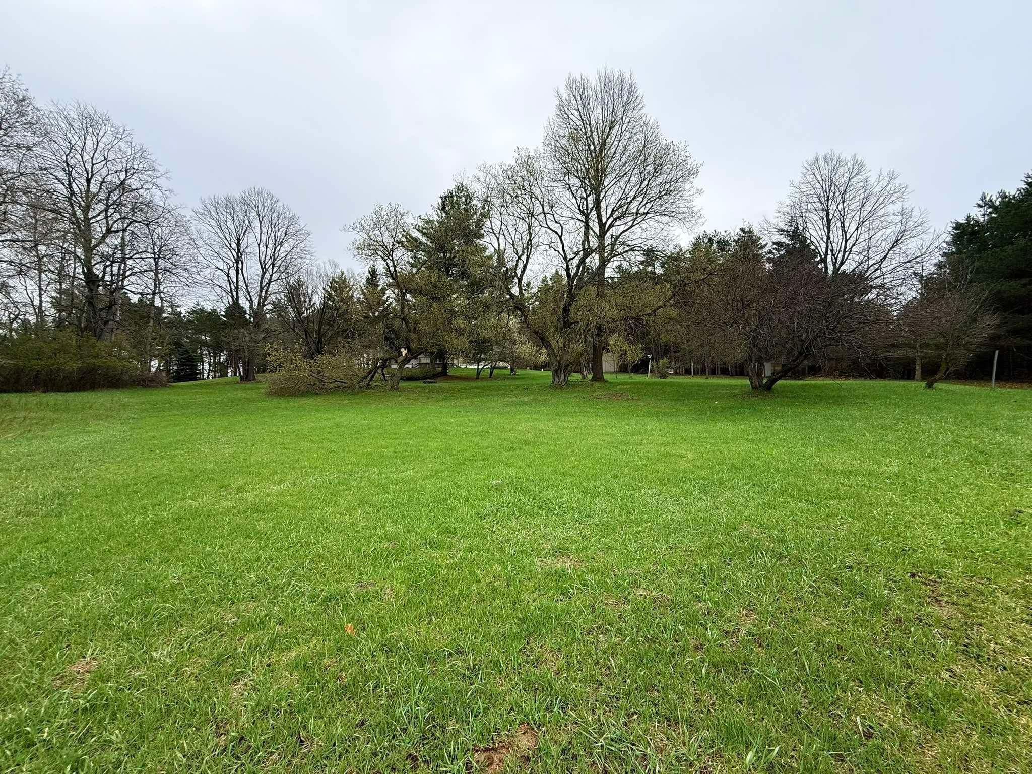 5651 North Seeley Road Manton, MI 49663 - Photo 10 of 49