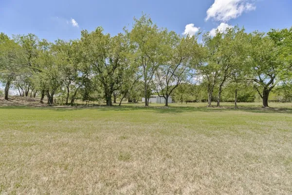 a view of a yard with trees