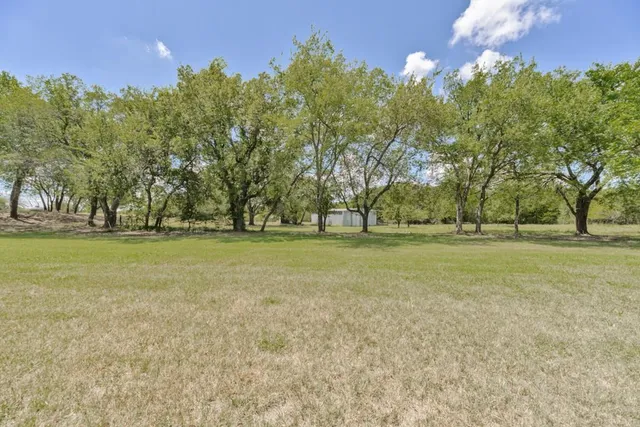 a view of a yard with trees