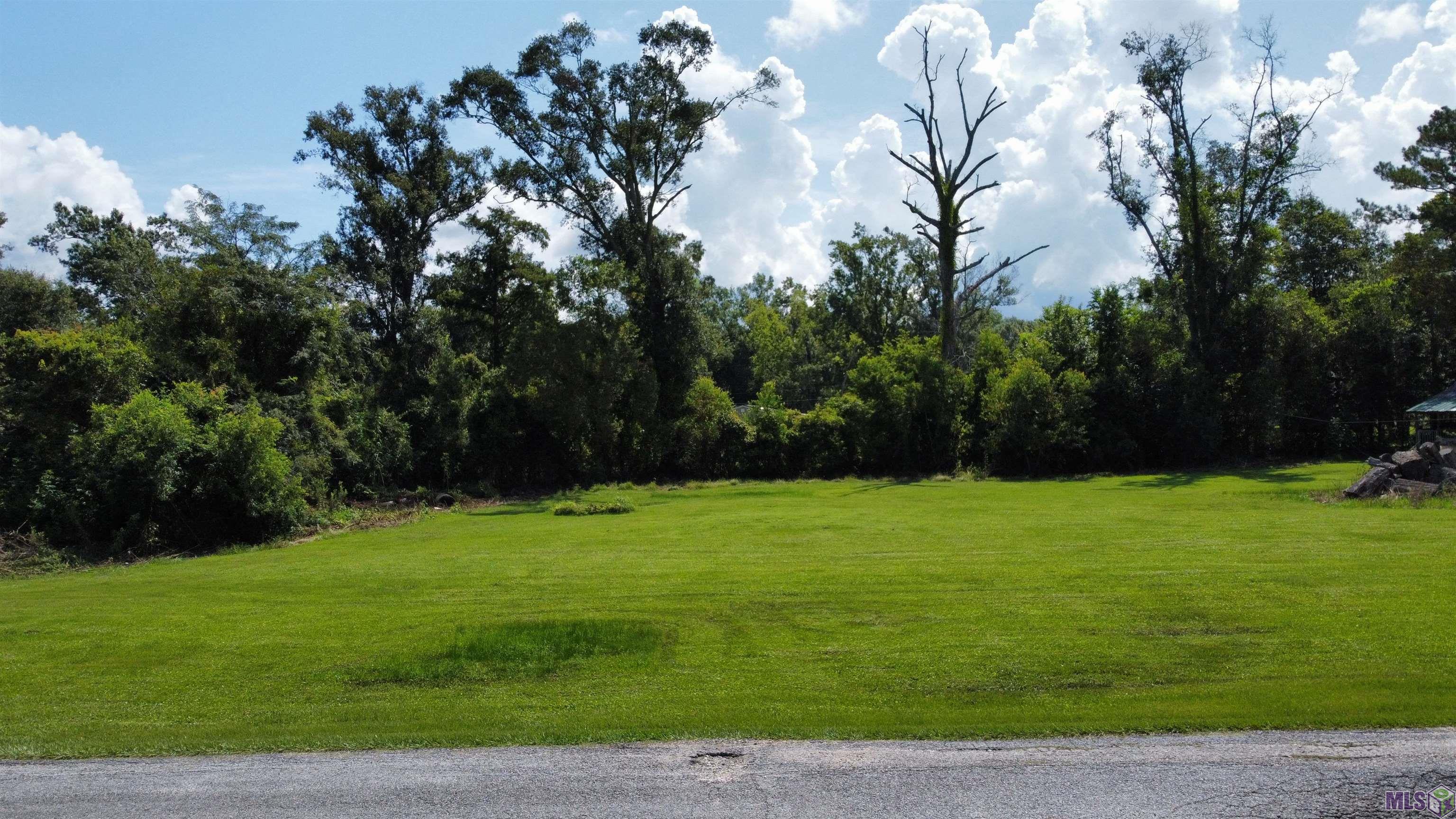 Tbd Tbd R And V Way Street St. Amant, LA 70774 - Photo 3 of 8