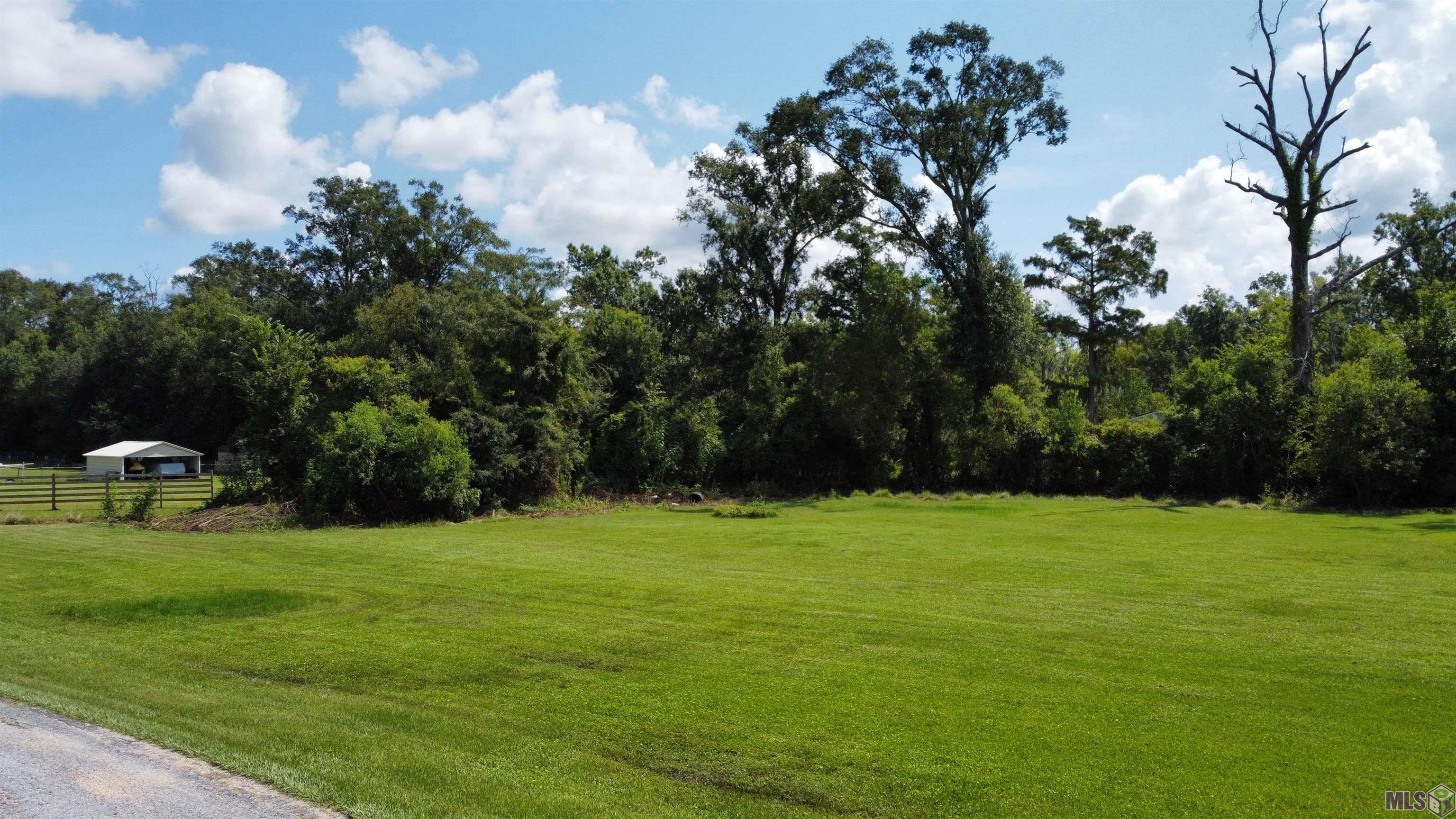 Tbd Tbd R And V Way Street St. Amant, LA 70774 - Photo 7 of 8