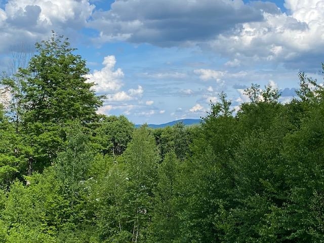 132 Newell Road Newbury, NH 03255 - Photo 32 of 42