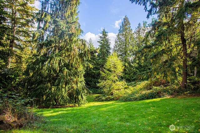 a view of yard with green space