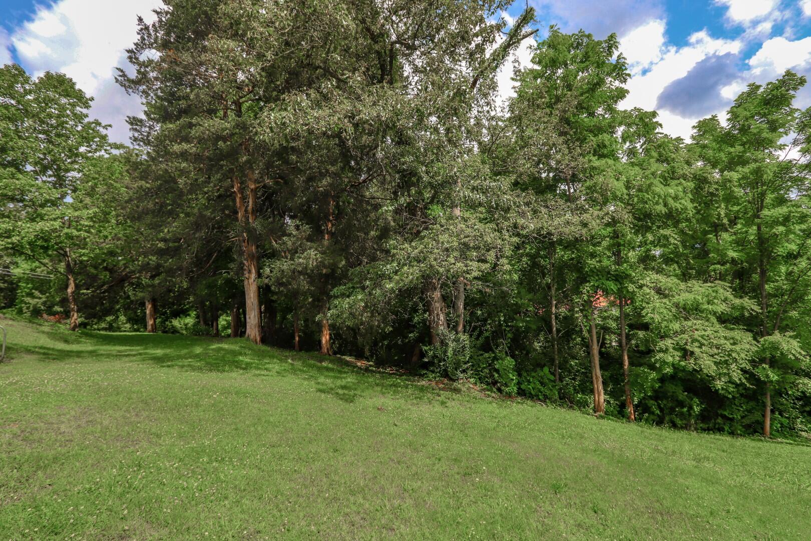 520 Summit Ridge Drive Newport, TN 37821 - Photo 6 of 40 6
