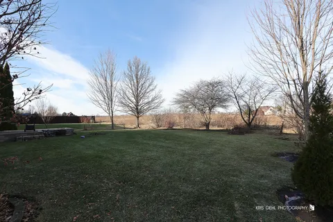 a view of a field with trees