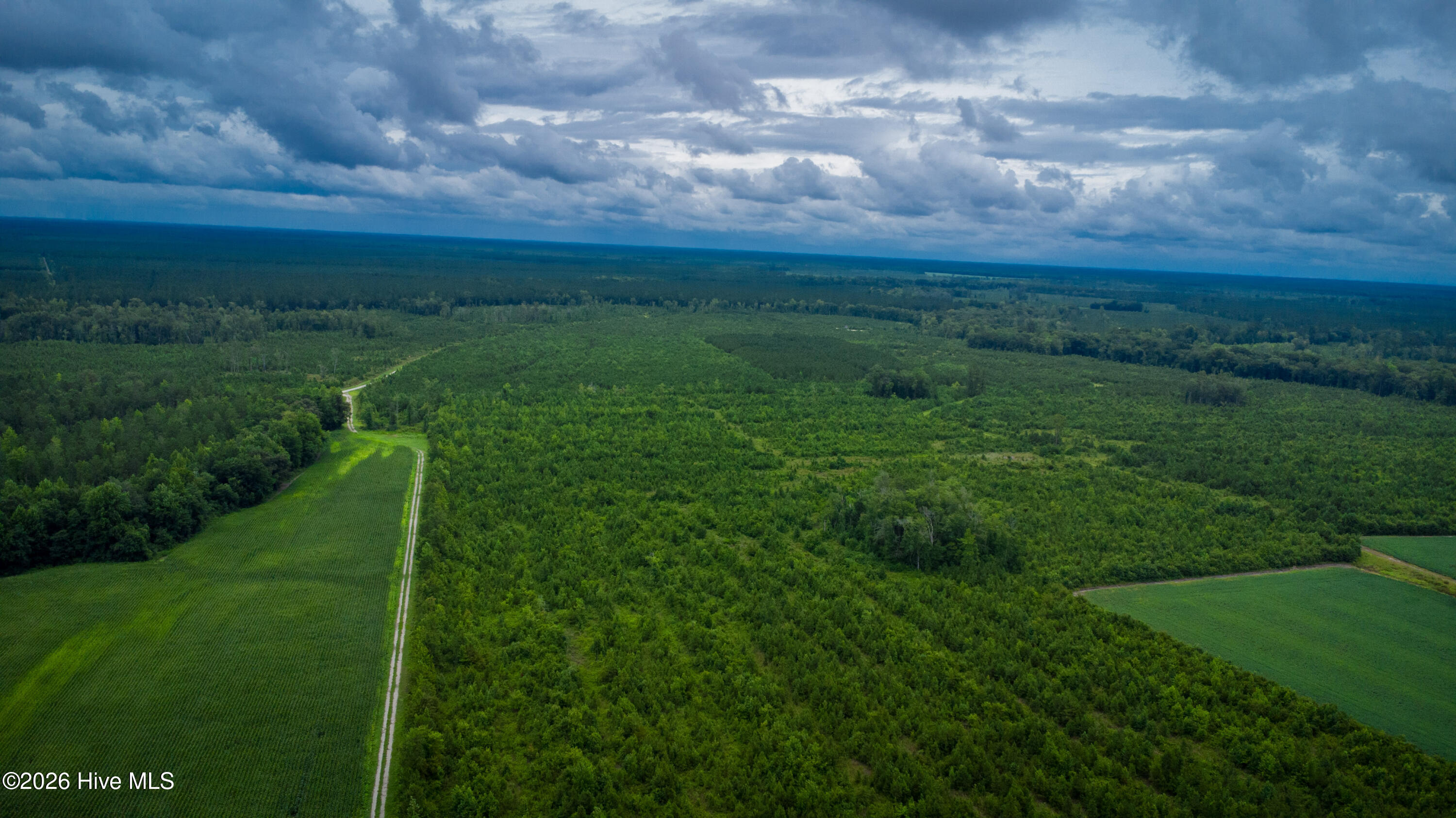 1601 Hill Neck Road Ernul, NC 28527 - Photo 13 of 33 Over 230 Acres of Opportunity