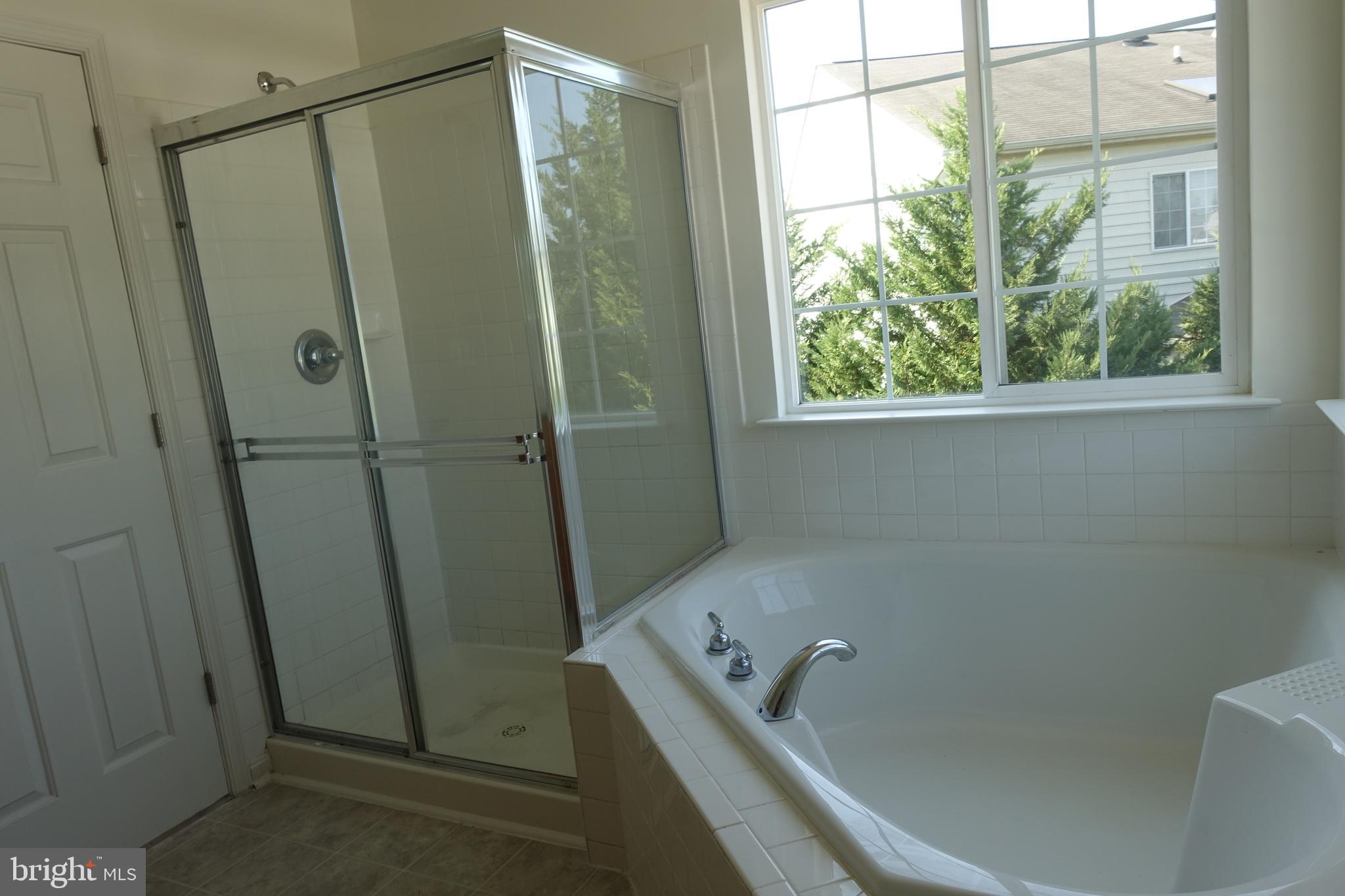 411 Robbins Farm Road Cambridge, MD 21613 - Photo 21 of 35 Master bath with soaking tub and separate shower