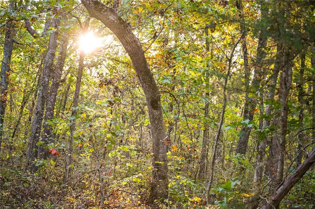 21395 South S Road Stockton, MO 65785 - Photo 23 of 29