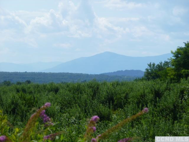 243 Schoolhouse Road Claverack, NY 12534 - Photo 2 of 10 Photo 2
