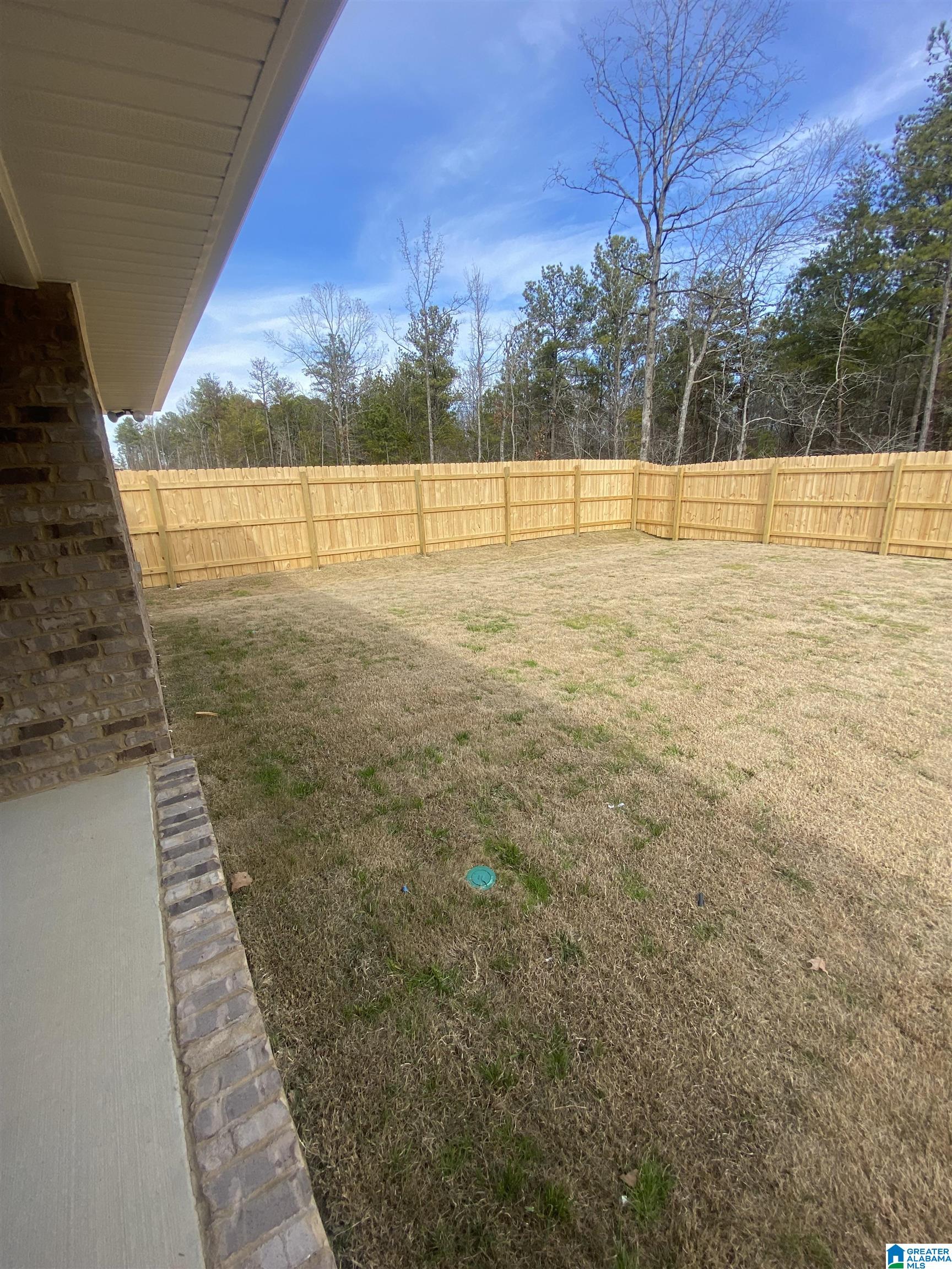 2095 Turquoise Lane Calera, AL 35040 - Photo 35 of 41