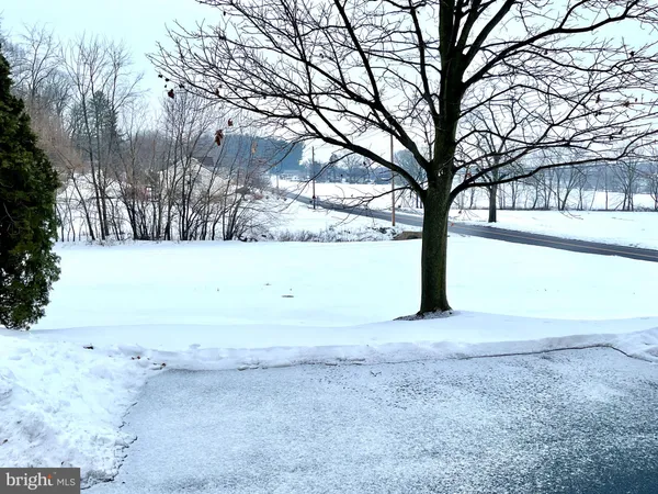 a view of a yard with a tree
