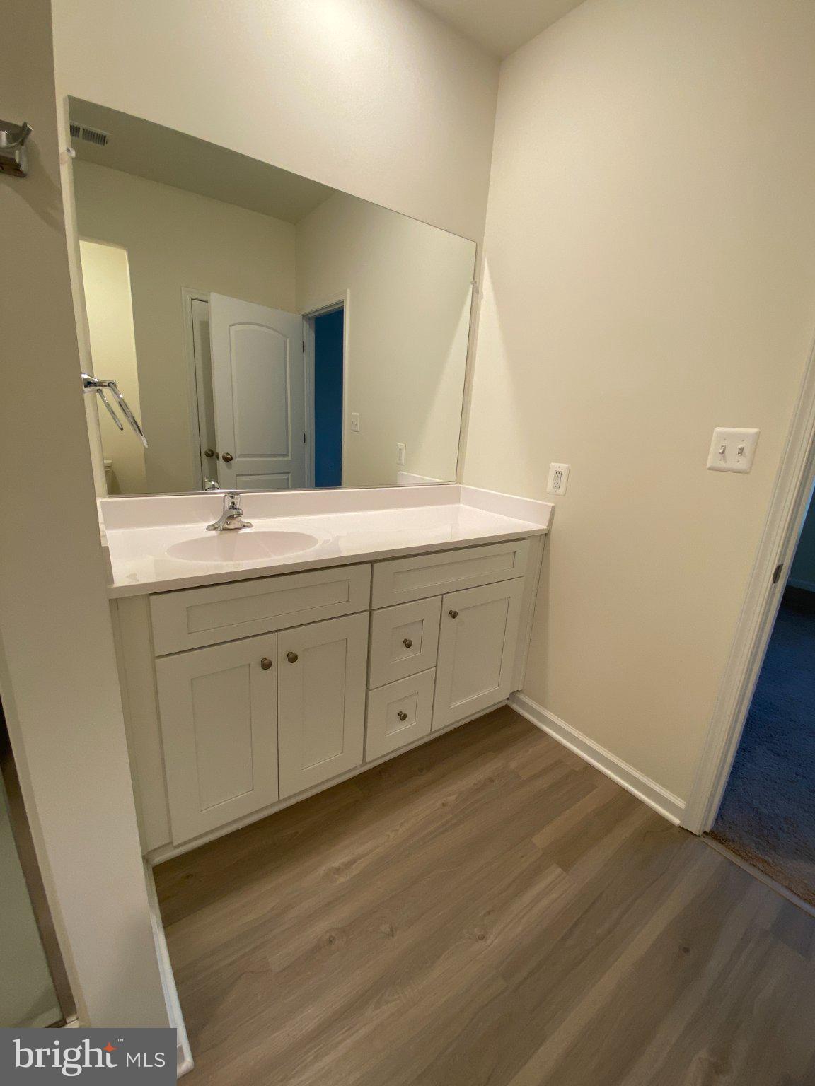 697 Rivanna Run Falling Waters, WV 25419 - Photo 16 of 44 a bathroom with a double vanity sink and mirror