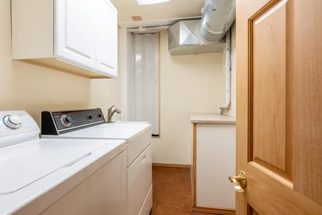 a picture of flowers