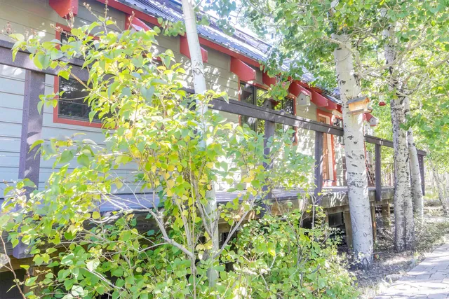 a view of a street with large trees
