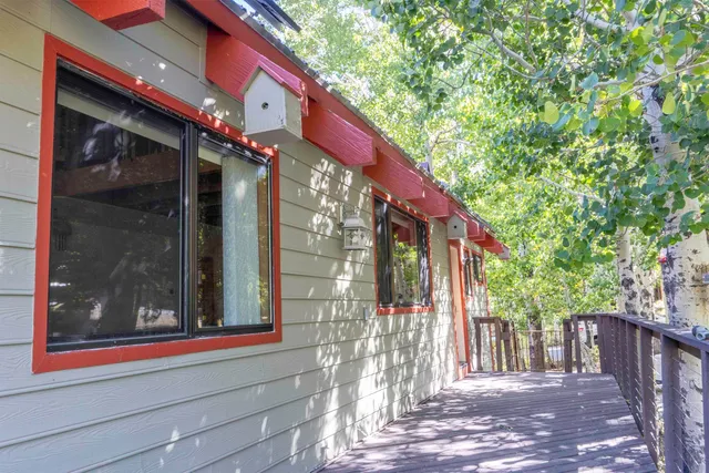 a view of a house with a yard plants and large tree