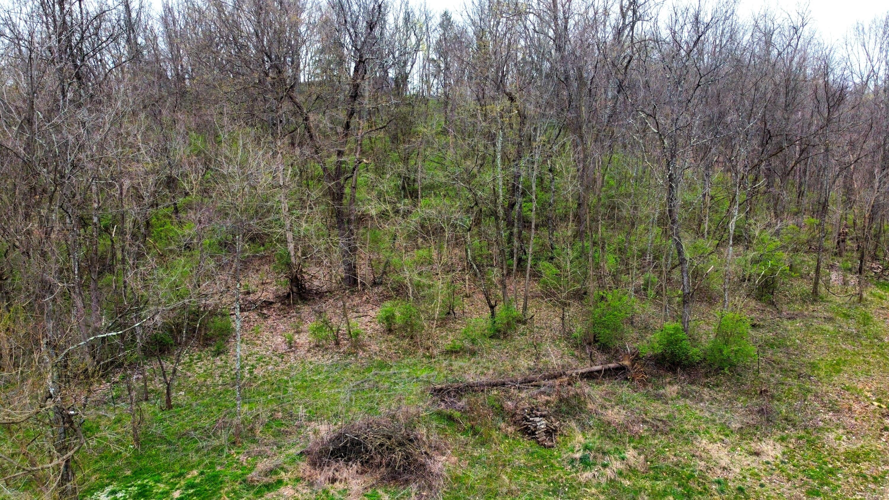 5 B Morris Road Sadieville, KY 40370 - Photo 7 of 12 Photo Apr 04 2023, 12 06 56 PM
