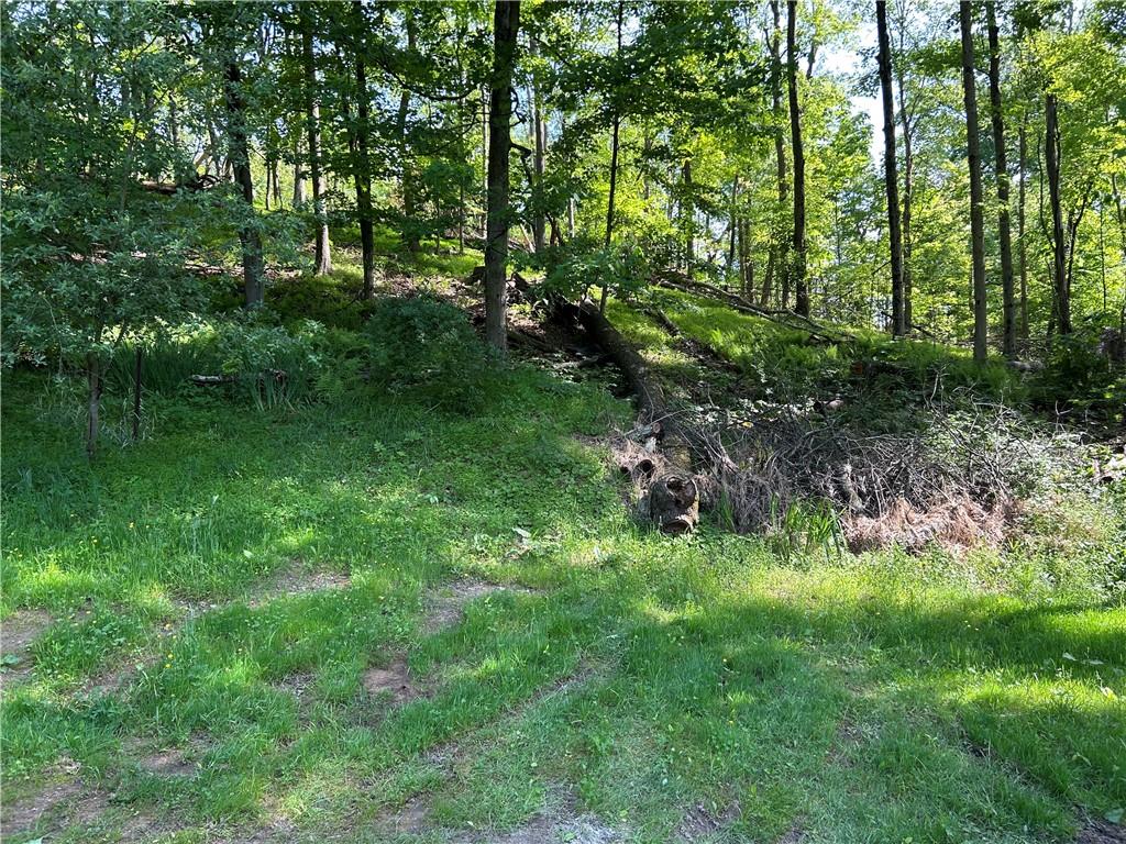 170 Clarks Hollow Rd Spring Vandergrift, PA 15690 - Photo 9 of 12