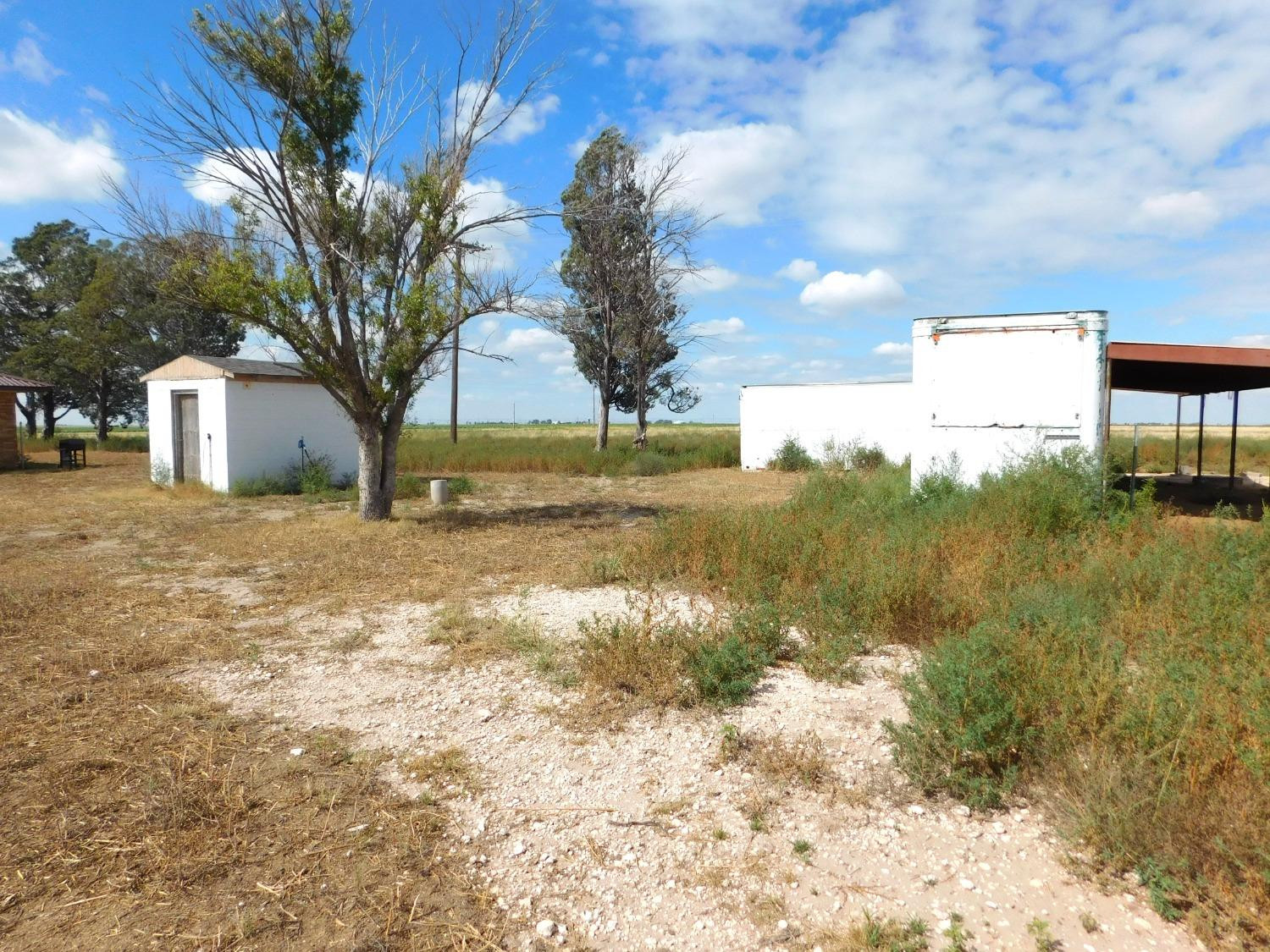 970 Fm 1760 Muleshoe, TX 79347 - Photo 24 of 25 Photo 24