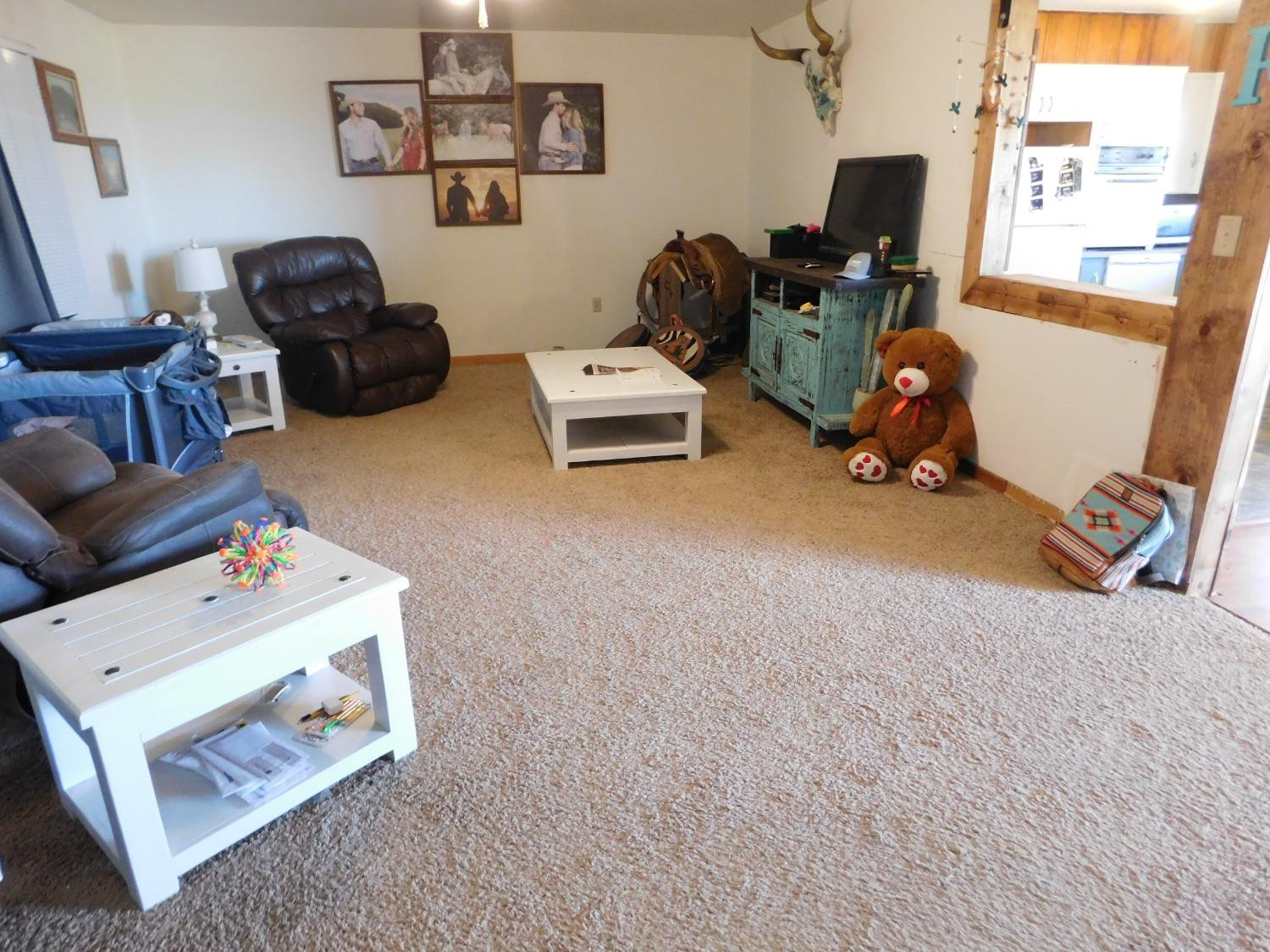 970 Fm 1760 Muleshoe, TX 79347 - Photo 4 of 25 Photo 4