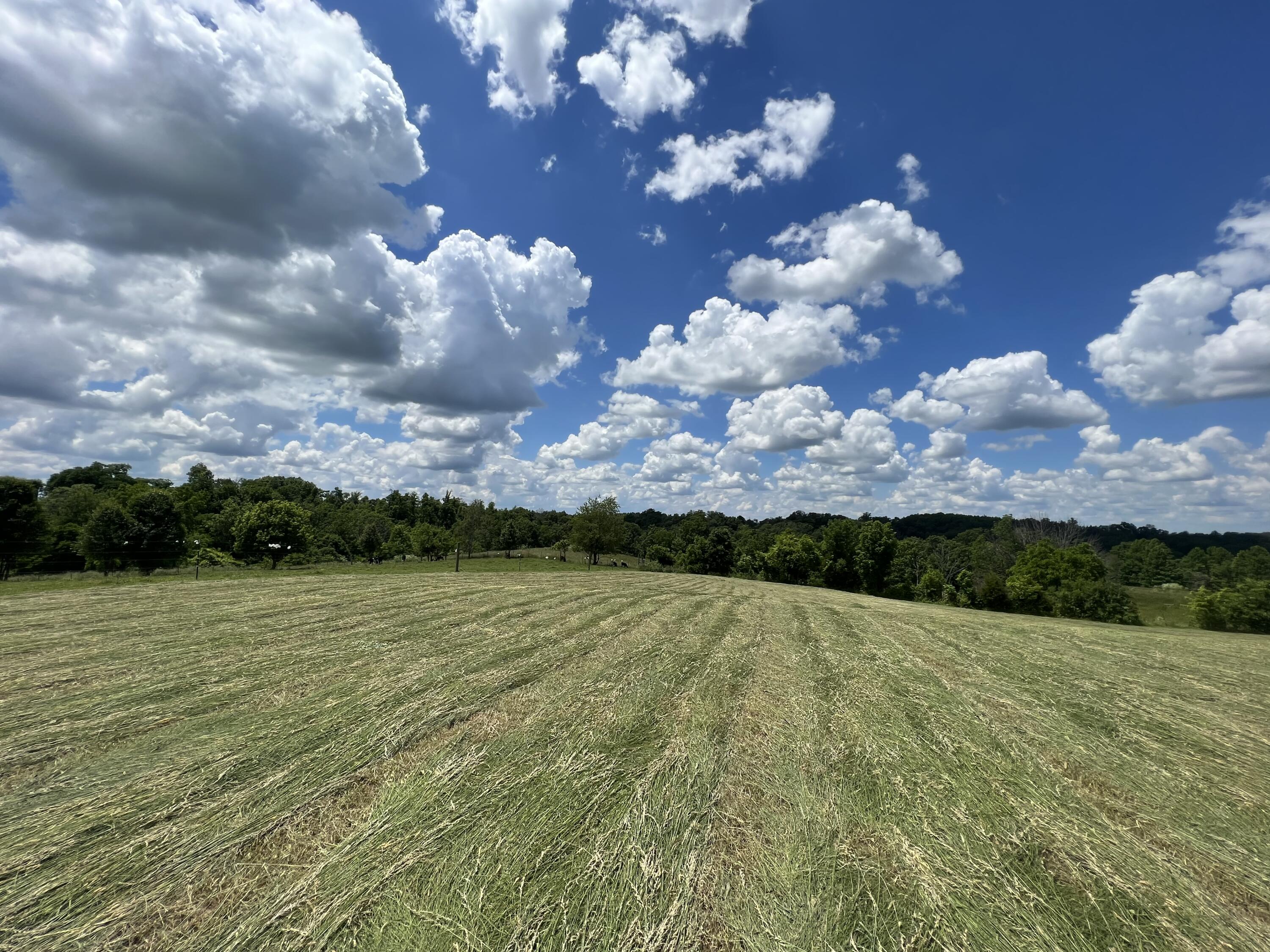 9999 Chestnut Grove Road Brodhead, KY 40409 - Photo 19 of 67 8D2AECC3-C3E6-46BF-8A87-84C5BEDD7ED1