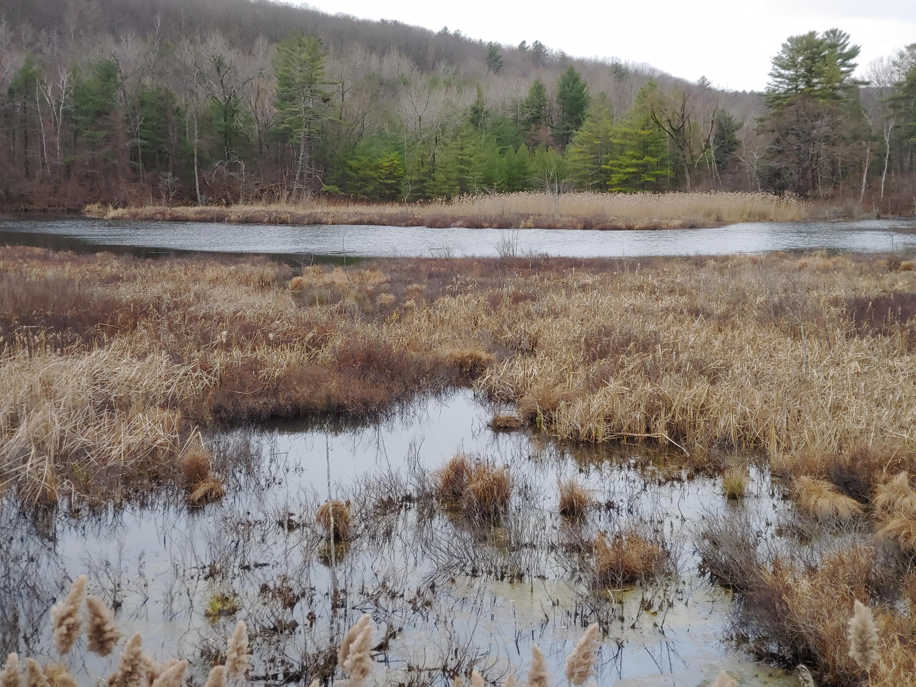 4099 Jacobs Ladder Road Becket, MA 01223 - Photo 13 of 31 Pond1