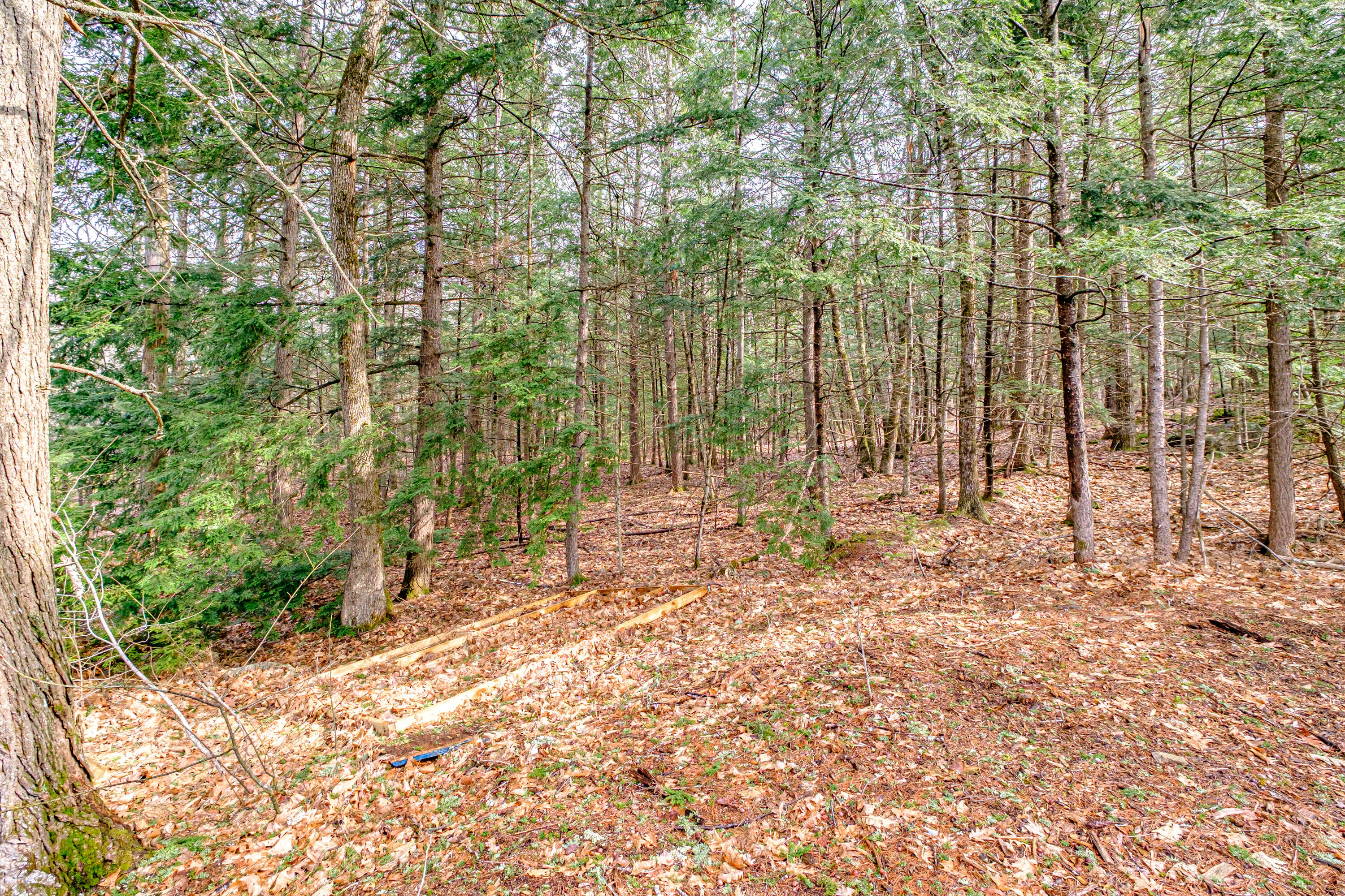510 Lewis Road Harrison, ME 04040 - Photo 42 of 42 20250415gp-60043