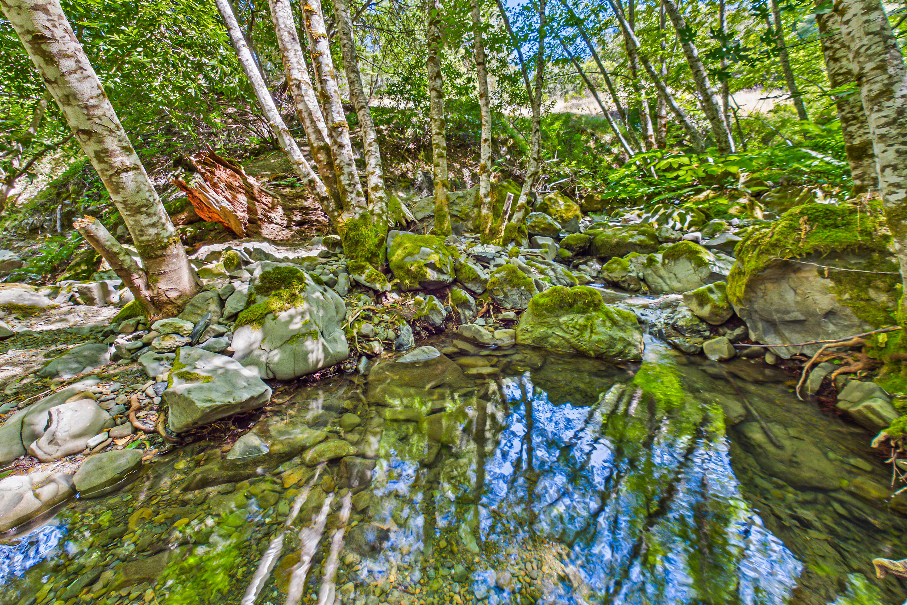 60890 Bell Springs Road Laytonville, CA 95454 - Photo 48 of 77