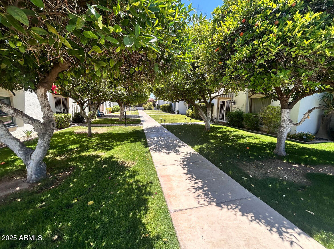 7752 East Camelback Road Scottsdale, AZ 85251 - Photo 7 of 20