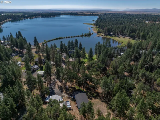 an aerial view of city and lake with trees all around