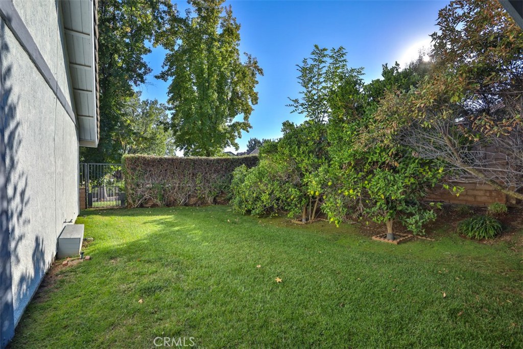 5848 Burlwood Court Rancho Cucamonga, CA 91701 - Photo 16 of 71 a view of a backyard with large trees