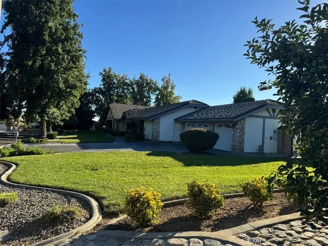 a view of a park with large trees