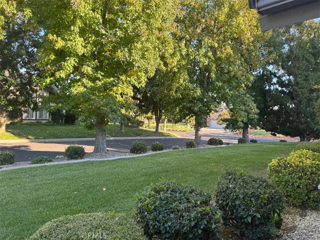 5848 Burlwood Court Rancho Cucamonga, CA 91701 - Photo 8 of 71 a view of a park with large trees