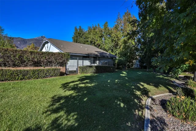 a view of a backyard with large trees