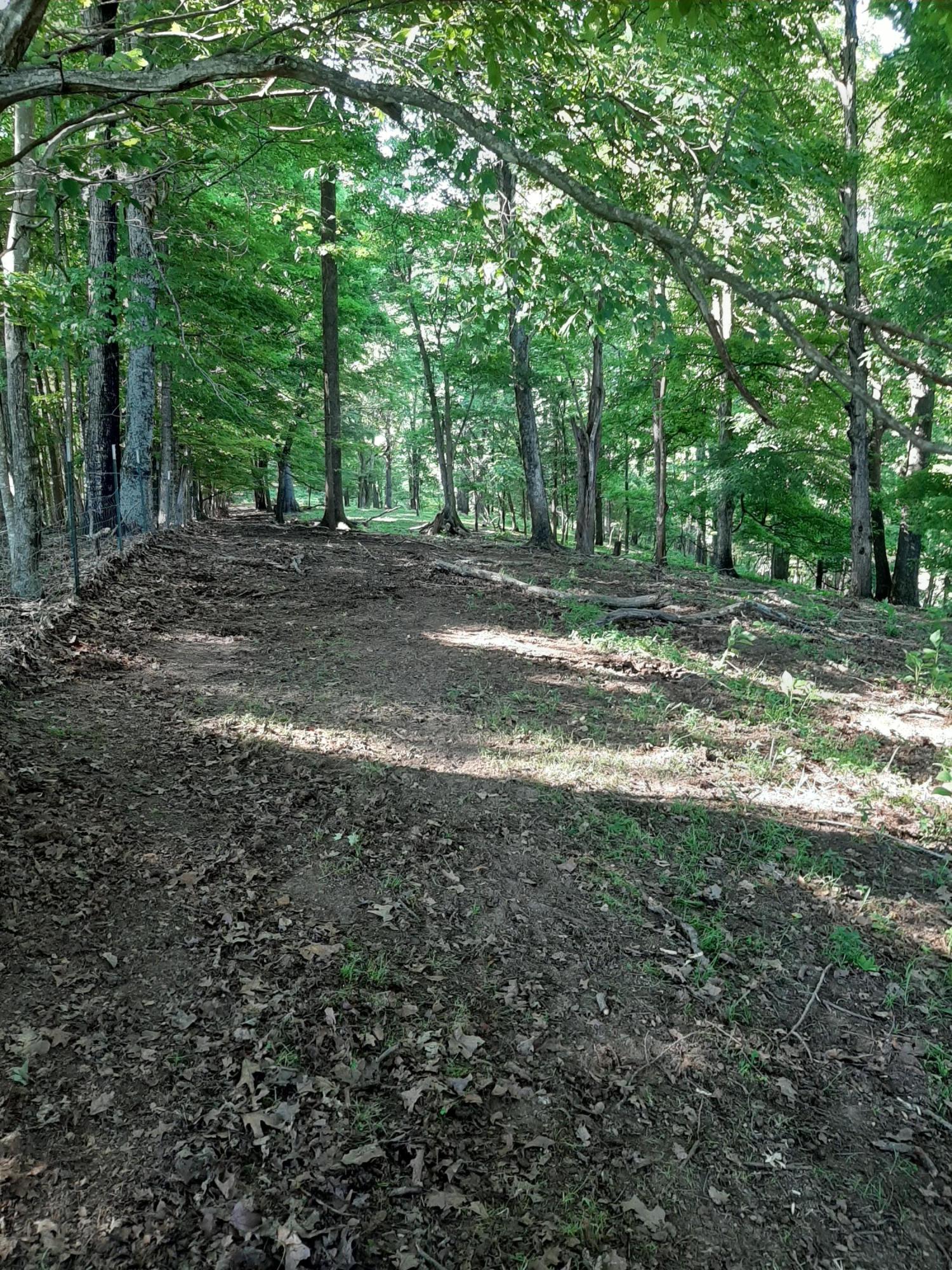 Tbd Ponderosa Road Nickelsville, VA 24271 - Photo 14 of 23 BACK FENCE ROW AT TOP