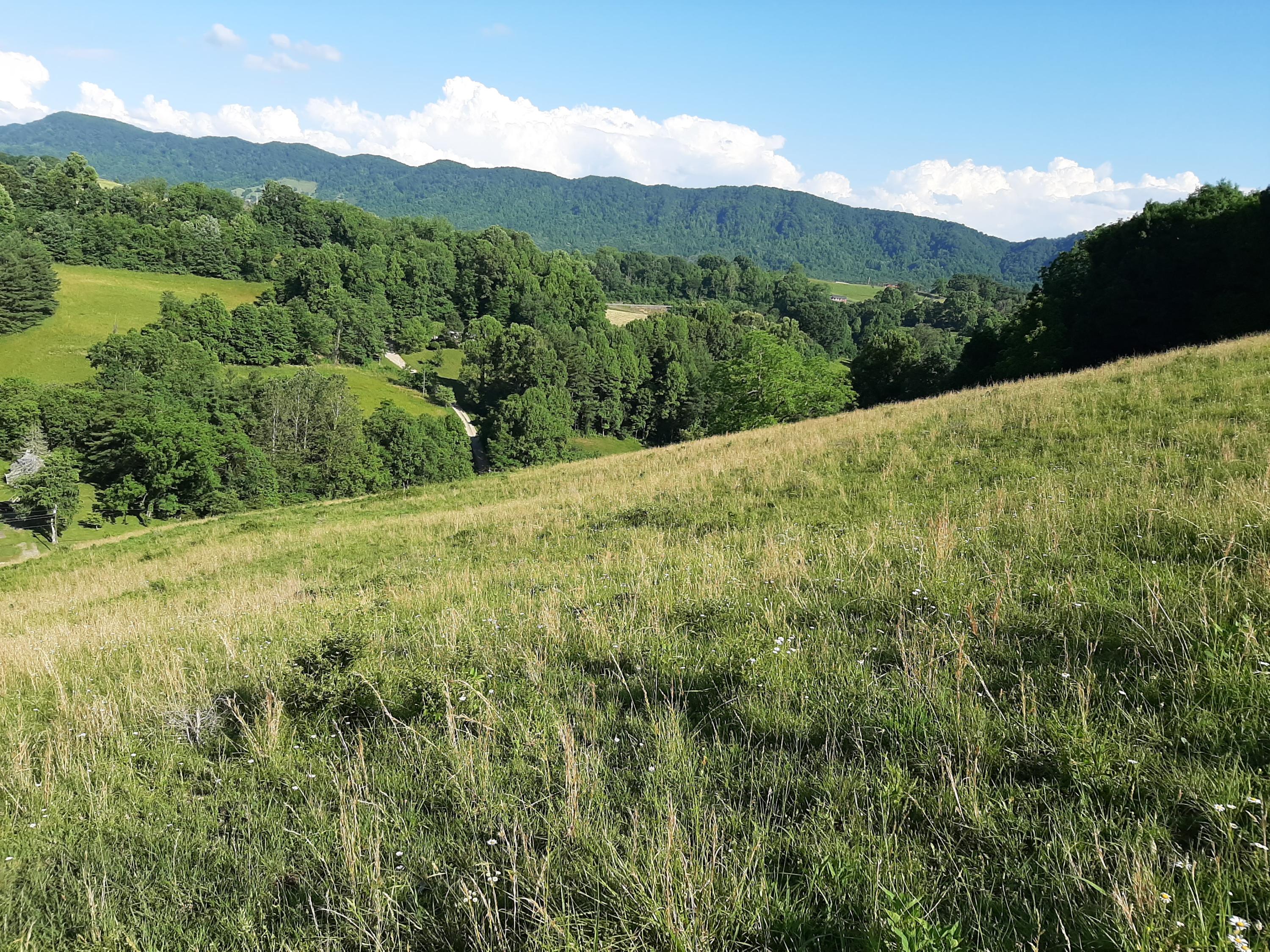Tbd Ponderosa Road Nickelsville, VA 24271 - Photo 22 of 23 20200609_174626