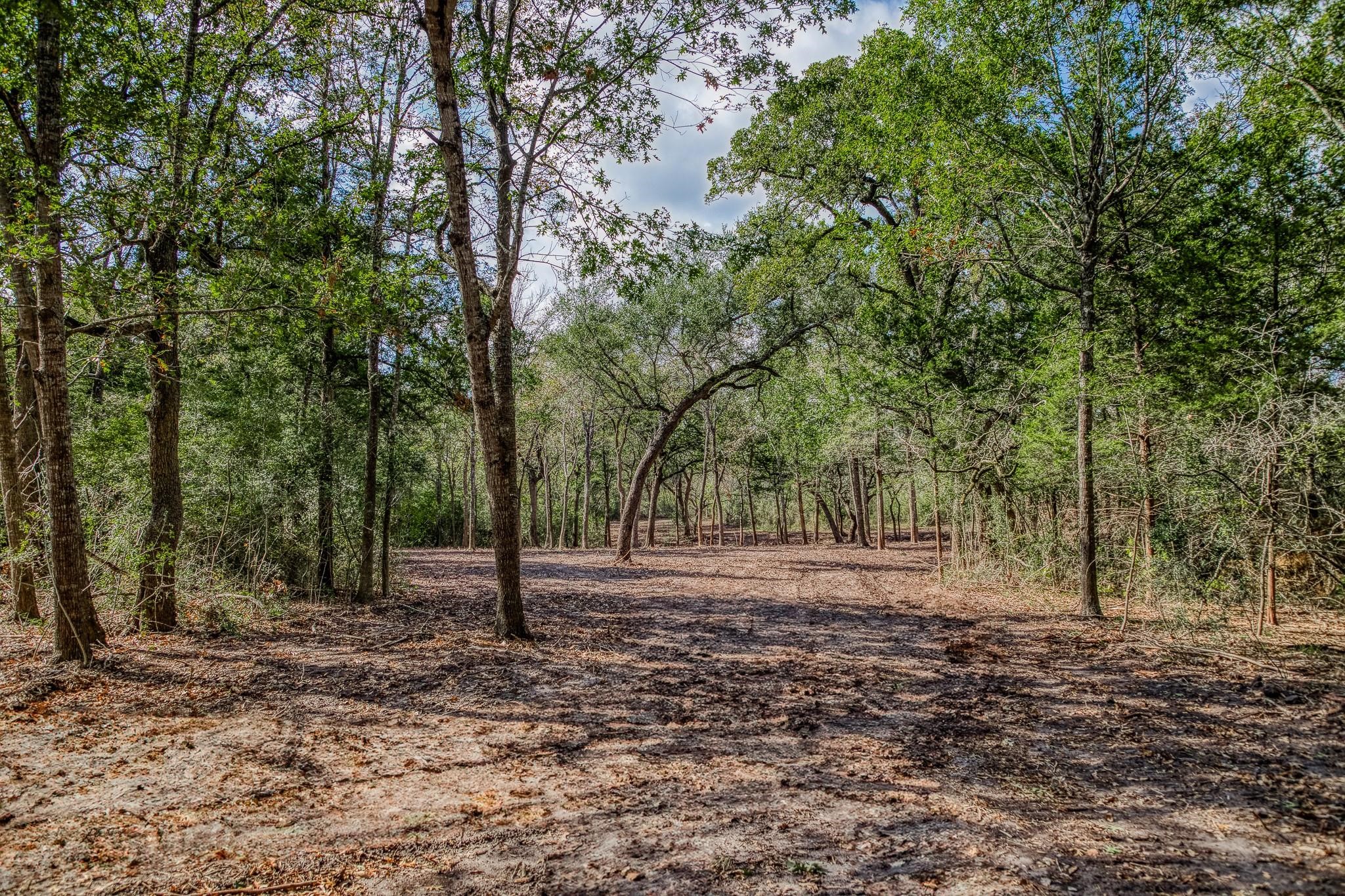 Tbd Sun Oil Road Brenham, TX 77833 - Photo 34 of 37 a backyard of a house with lots of trees