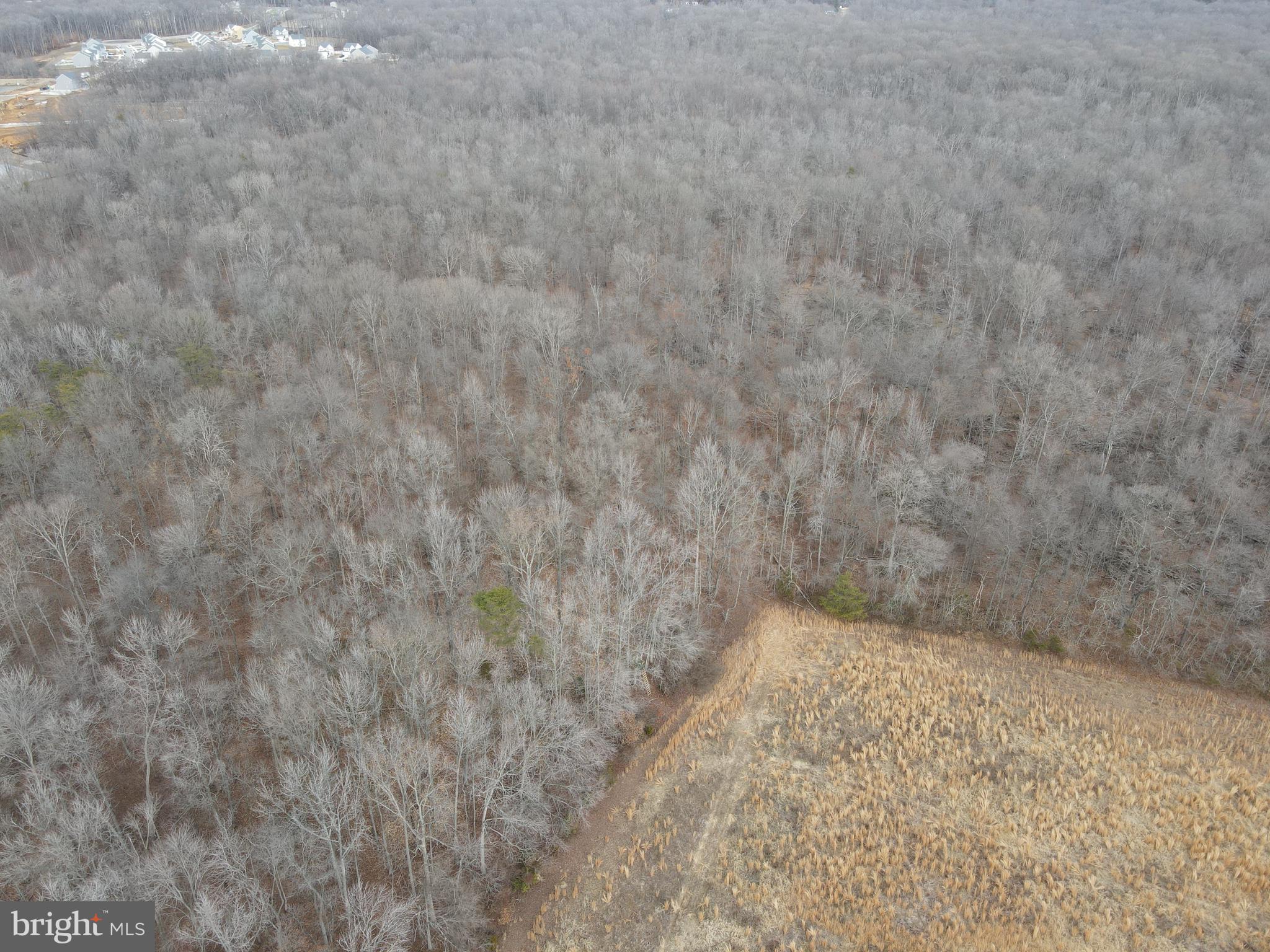 0 Dexter Corner Road Townsend, DE 19734 - Photo 6 of 7