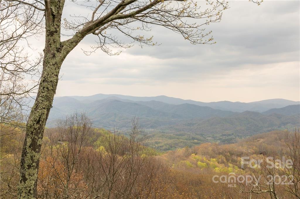 201 Ivy Ridge Road Burnsville, NC 28714 - Photo 2 of 32 Gallery Image 2