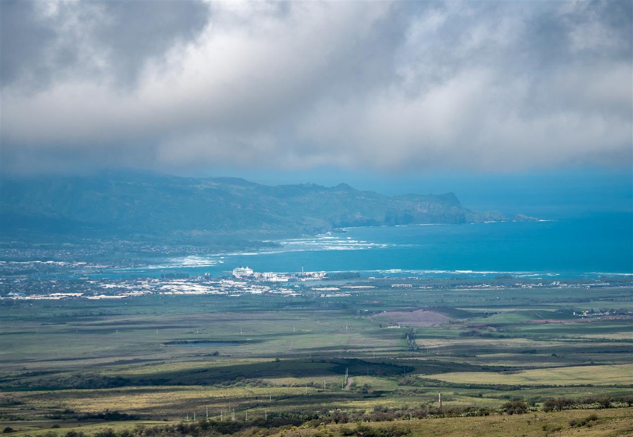 600 Calasa Road Kula, HI 96790 - Photo 29 of 30 a view of water heater and a lots of trees