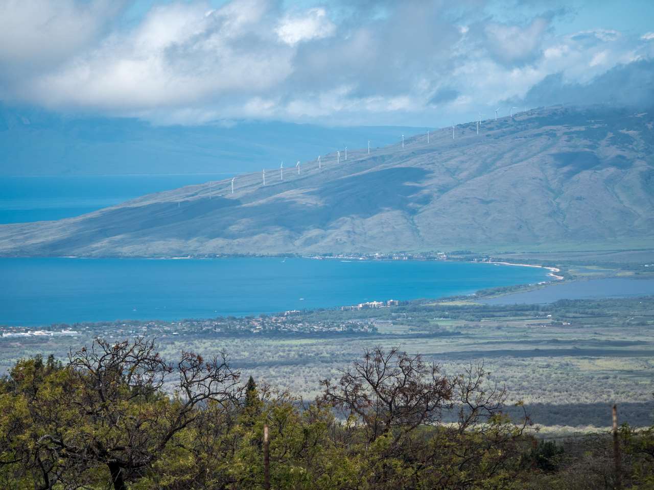 600 Calasa Road Kula, HI 96790 - Photo 30 of 30 a view of a yard with an ocean
