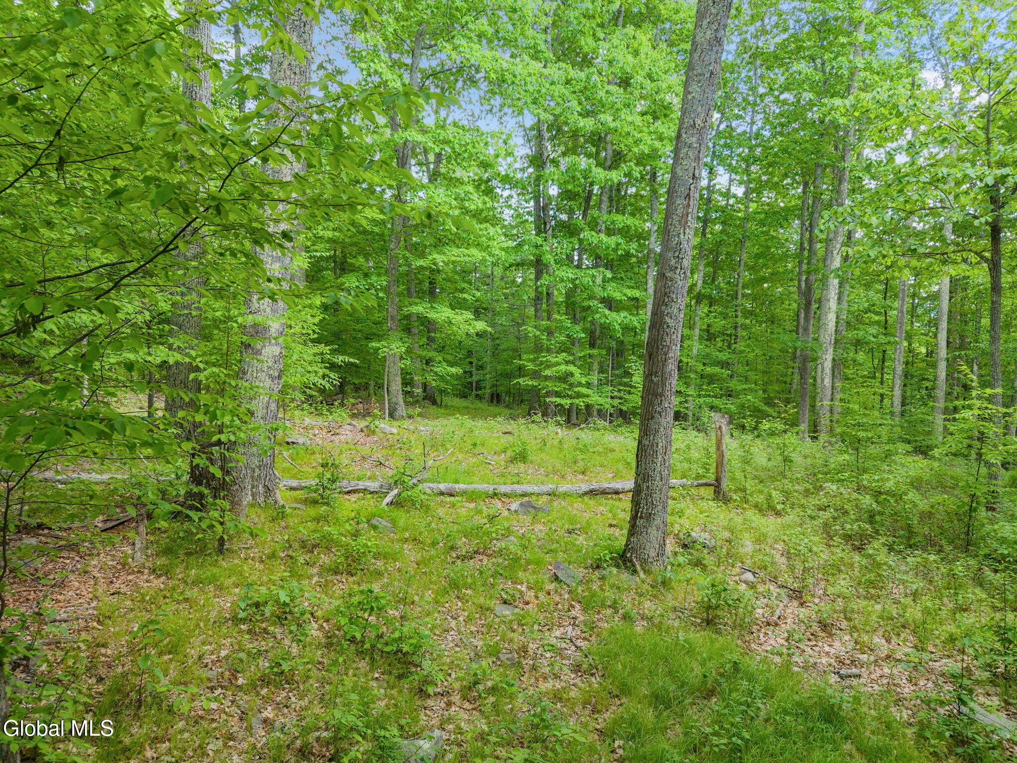 368 Brand Road Gilboa, NY 12076 - Photo 63 of 76 73-368BrandRd_35 (2)