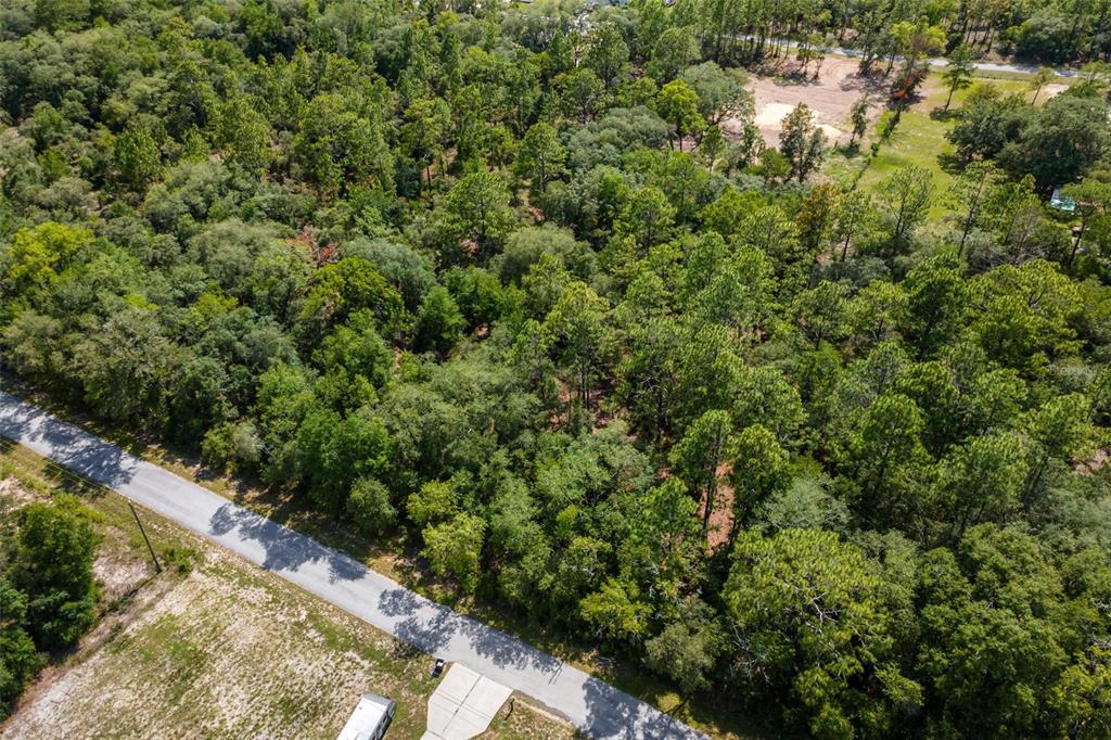 Southwest Shasta Court Dunnellon, FL 34431 - Photo 5 of 9
