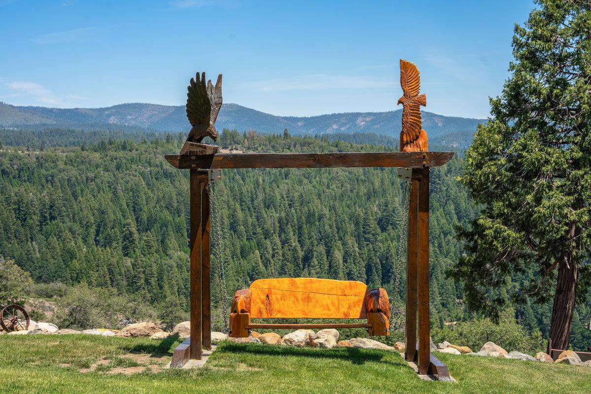 39110 Kearsarge Mill Road Alta, CA 95715 - Photo 18 of 99