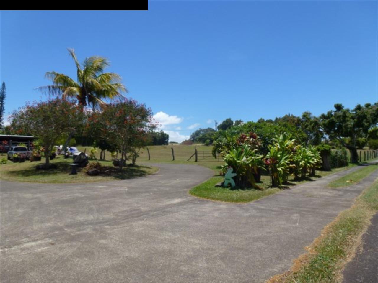 1220 West Kuiaha Road, Unit B1 Haiku, HI 96708 - Photo 21 of 29 a view of a yard with a car parked