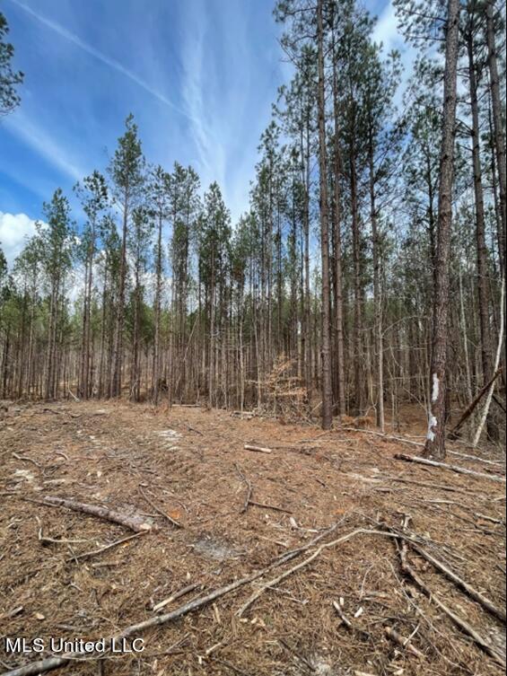 Permenter Rd Road Carthage, MS 39051 - Photo 2 of 8 Picture3