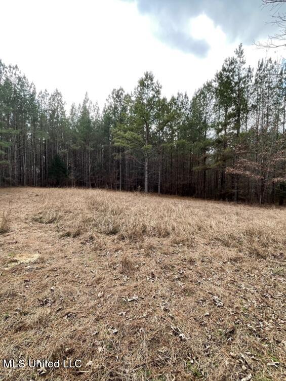 Permenter Rd Road Carthage, MS 39051 - Photo 3 of 8 Picture4