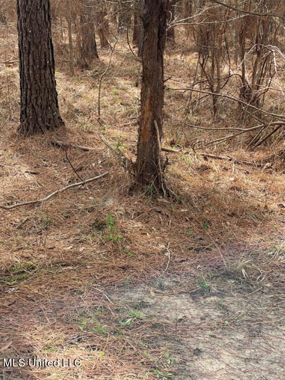 Permenter Rd Road Carthage, MS 39051 - Photo 4 of 8 Picture5