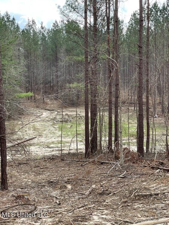 Permenter Rd Road Carthage, MS 39051 - Photo 6 of 8 Picture7