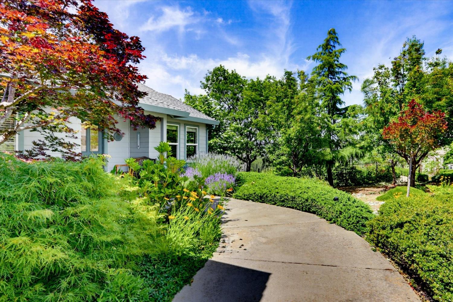 970 Morgan Ranch Drive Grass Valley, CA 95945 - Photo 46 of 76 a front view of a house with a yard