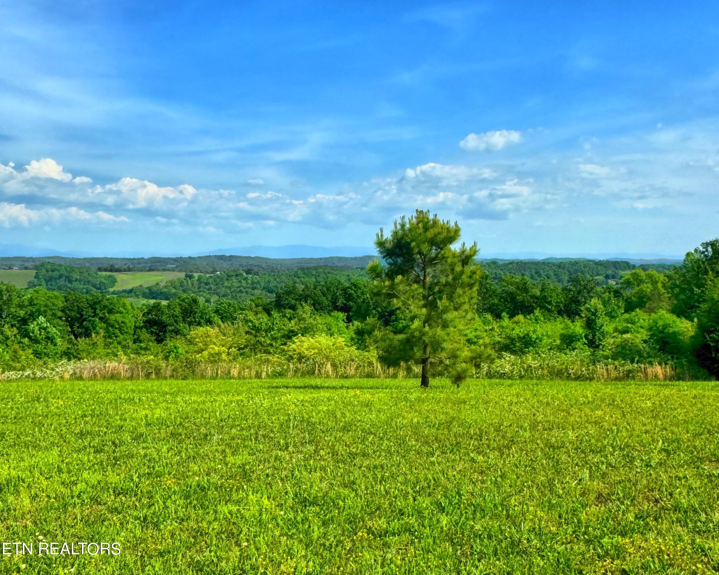 1667 James Ridge Road Loudon, TN 37774 - Photo 1 of 12 23041D4E-126A-4461-A71F-5E1C66FEBB58